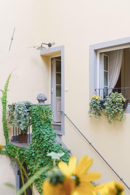 Corte Paolina - Charming Courtyard Inside Lucca Eksteriør billede