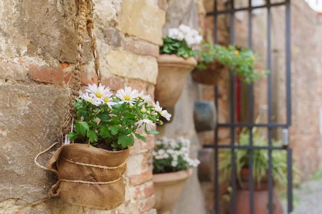 Corte Paolina - Charming Courtyard Inside Lucca Eksteriør billede