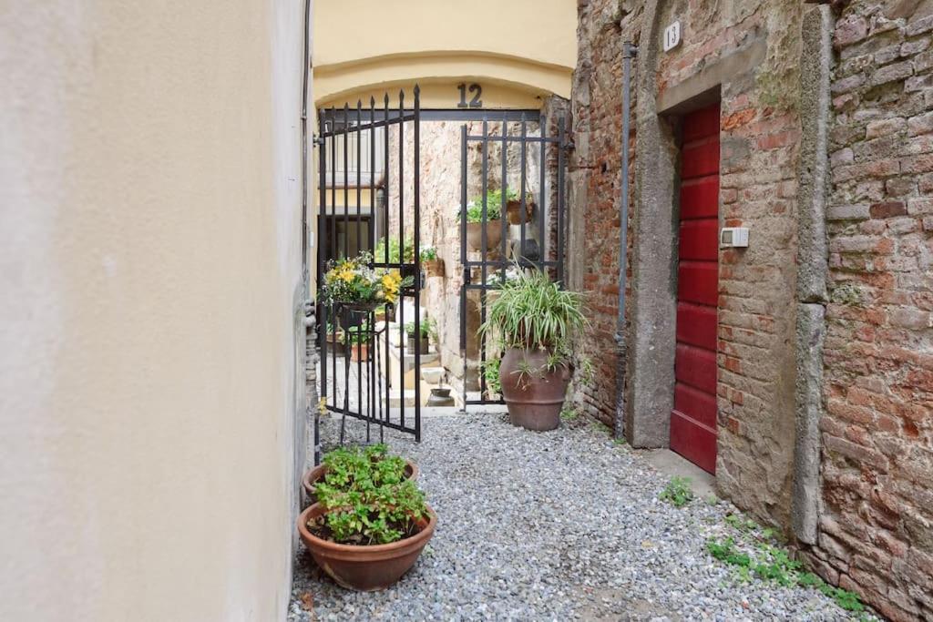 Corte Paolina - Charming Courtyard Inside Lucca Eksteriør billede