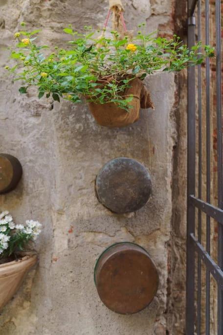 Corte Paolina - Charming Courtyard Inside Lucca Eksteriør billede